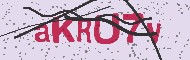 Güvenlik Kodu