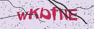 Güvenlik Kodu